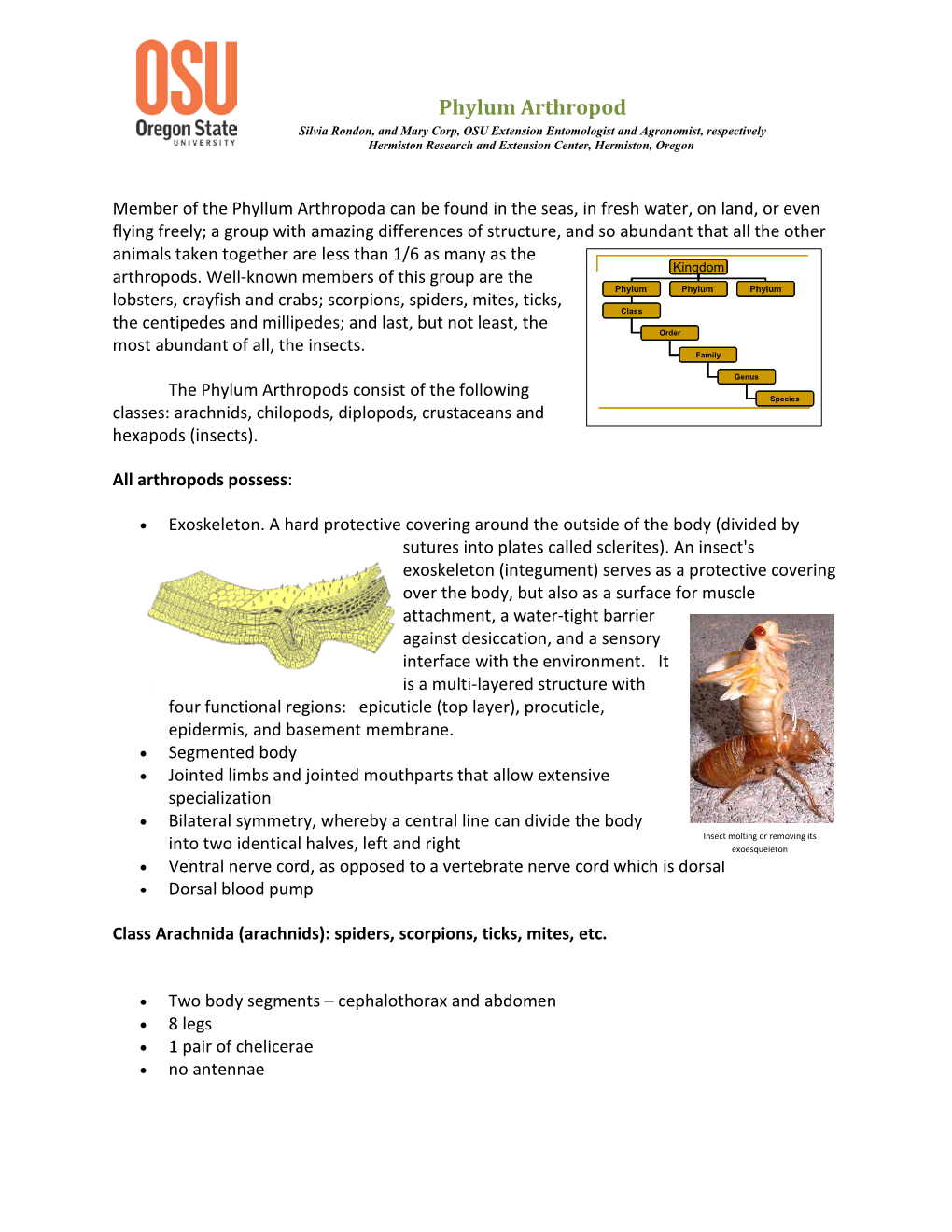 Phylum Arthropod Silvia Rondon, and Mary Corp, OSU Extension Entomologist and Agronomist, Respectively Hermiston Research and Extension Center, Hermiston, Oregon