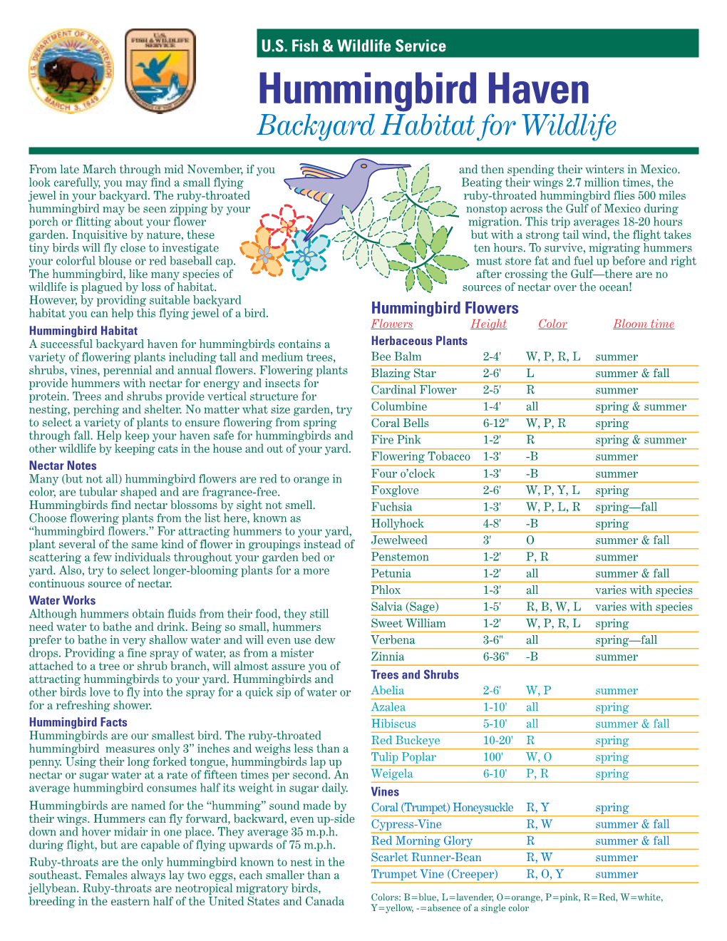 Hummingbird Haven Backyard Habitat for Wildlife