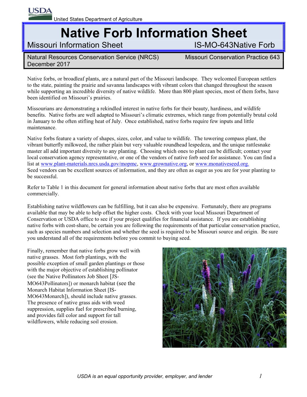 Native Forb Information Sheet