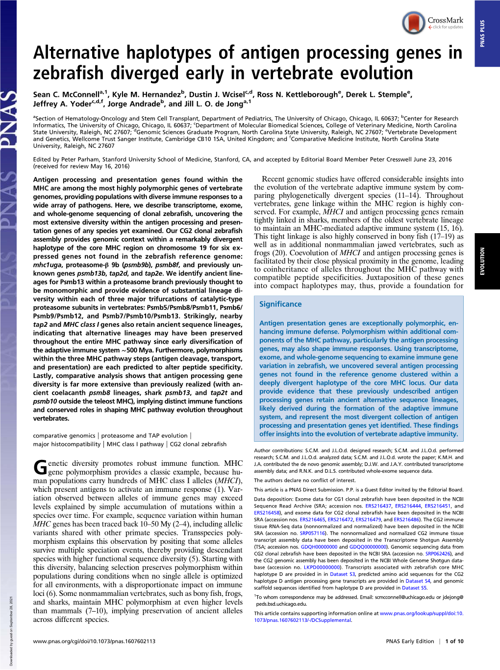 Alternative Haplotypes of Antigen Processing Genes in Zebrafish Diverged Early in Vertebrate Evolution