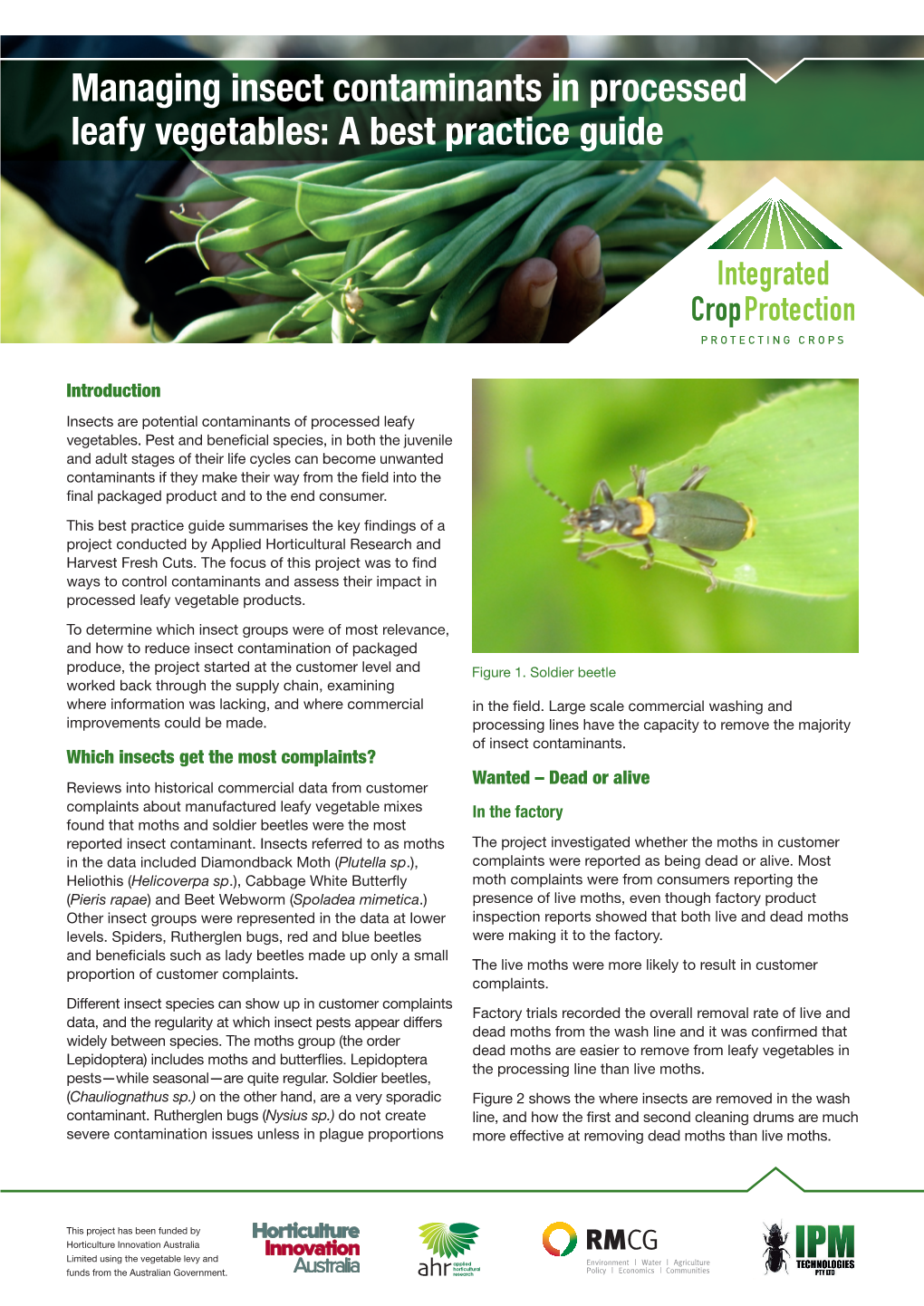 Managing Insect Contaminants in Processed Leafy Vegetables: a Best Practice Guide