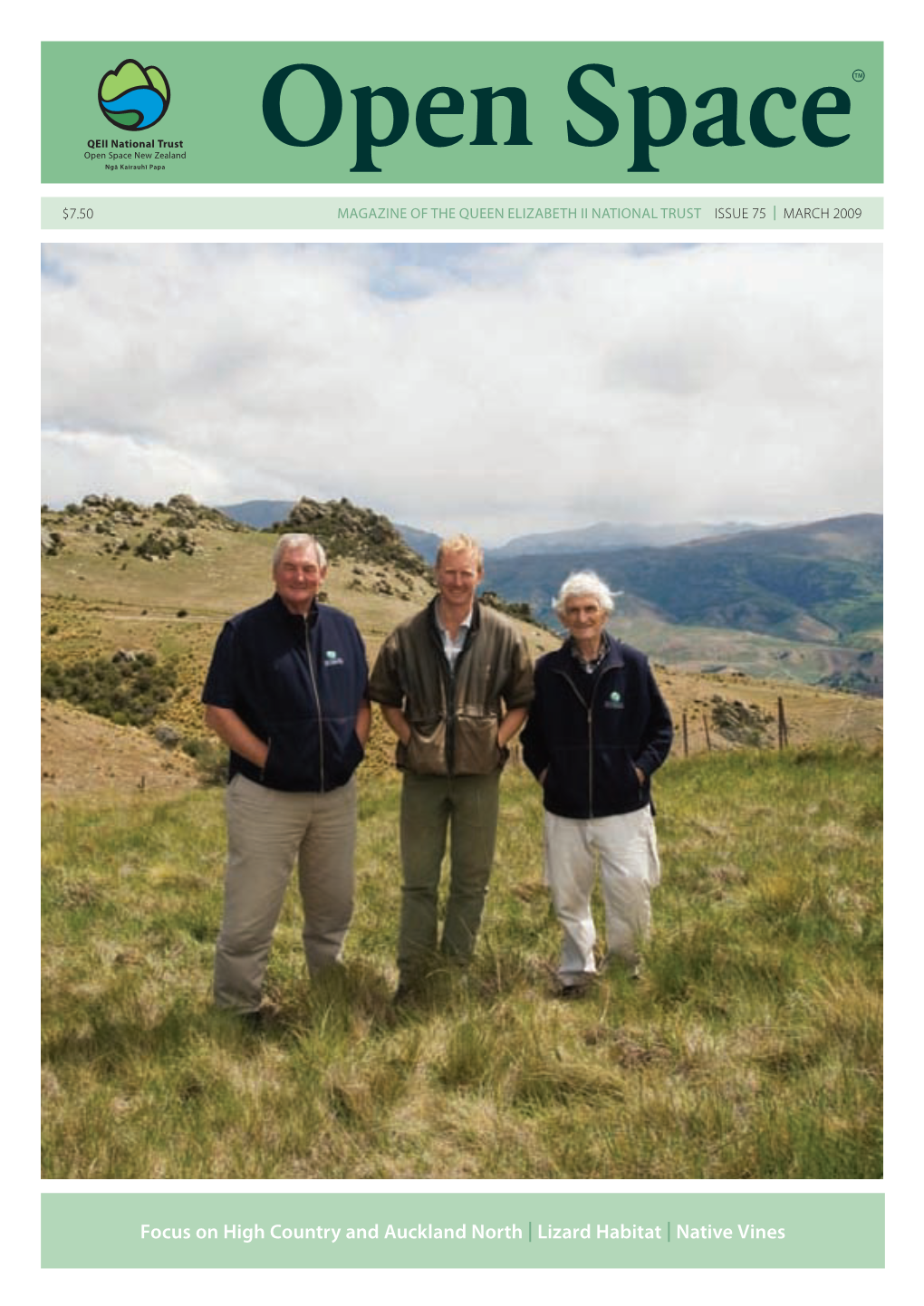 Focus on High Country and Auckland North | Lizard Habitat | Native Vines