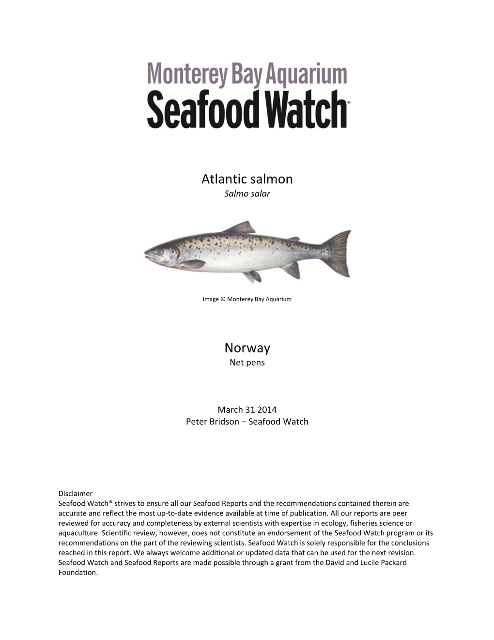 Atlantic Salmon Norway
