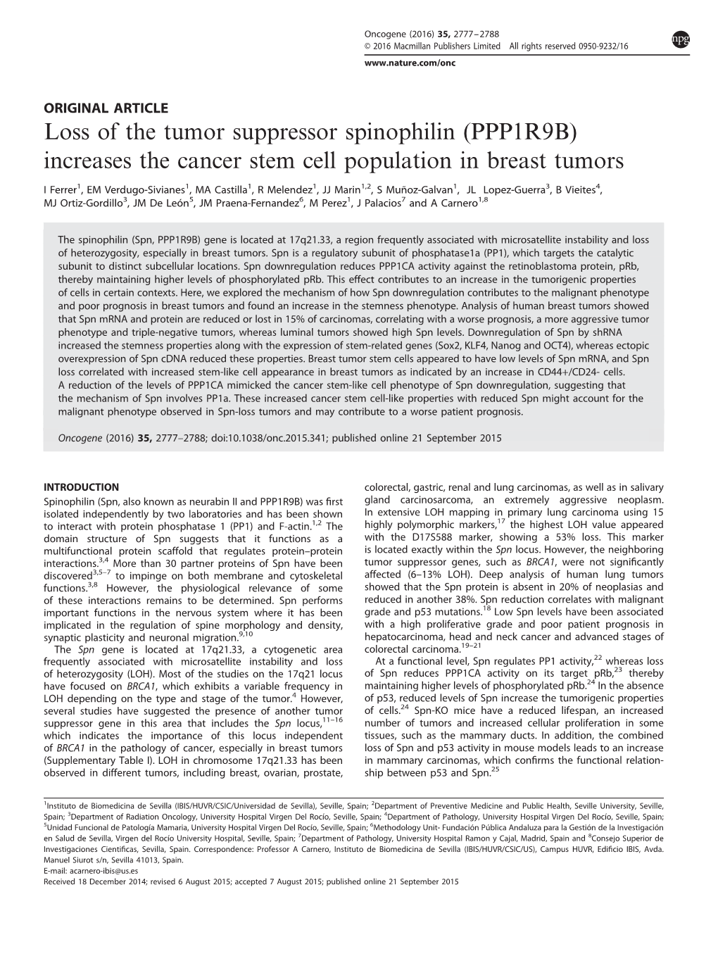 Loss of the Tumor Suppressor Spinophilin (PPP1R9B) Increases the Cancer Stem Cell Population in Breast Tumors