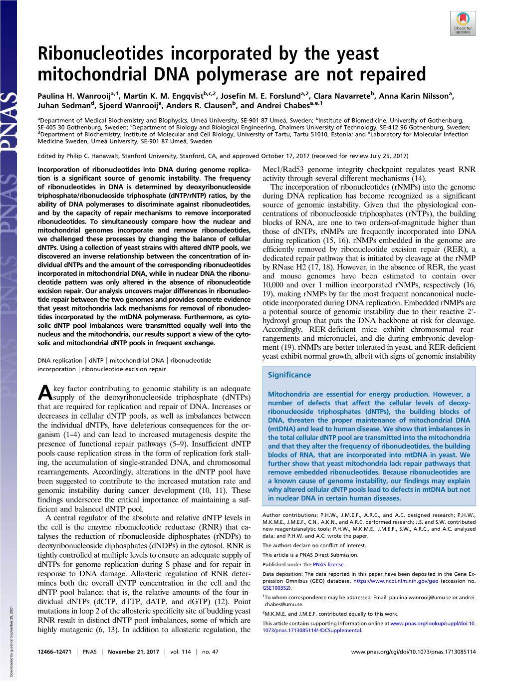 Ribonucleotides Incorporated by the Yeast Mitochondrial DNA Polymerase Are Not Repaired