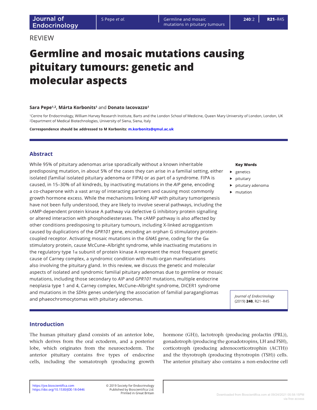 Germline and Mosaic Mutations Causing Pituitary Tumours: Genetic and Molecular Aspects