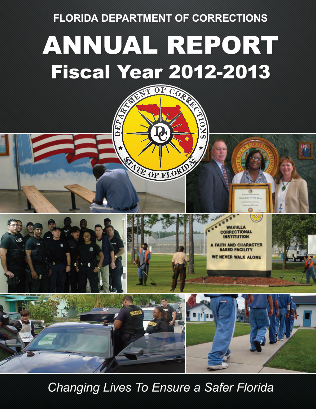ANNUAL REPORT Fiscal Year 2012-2013