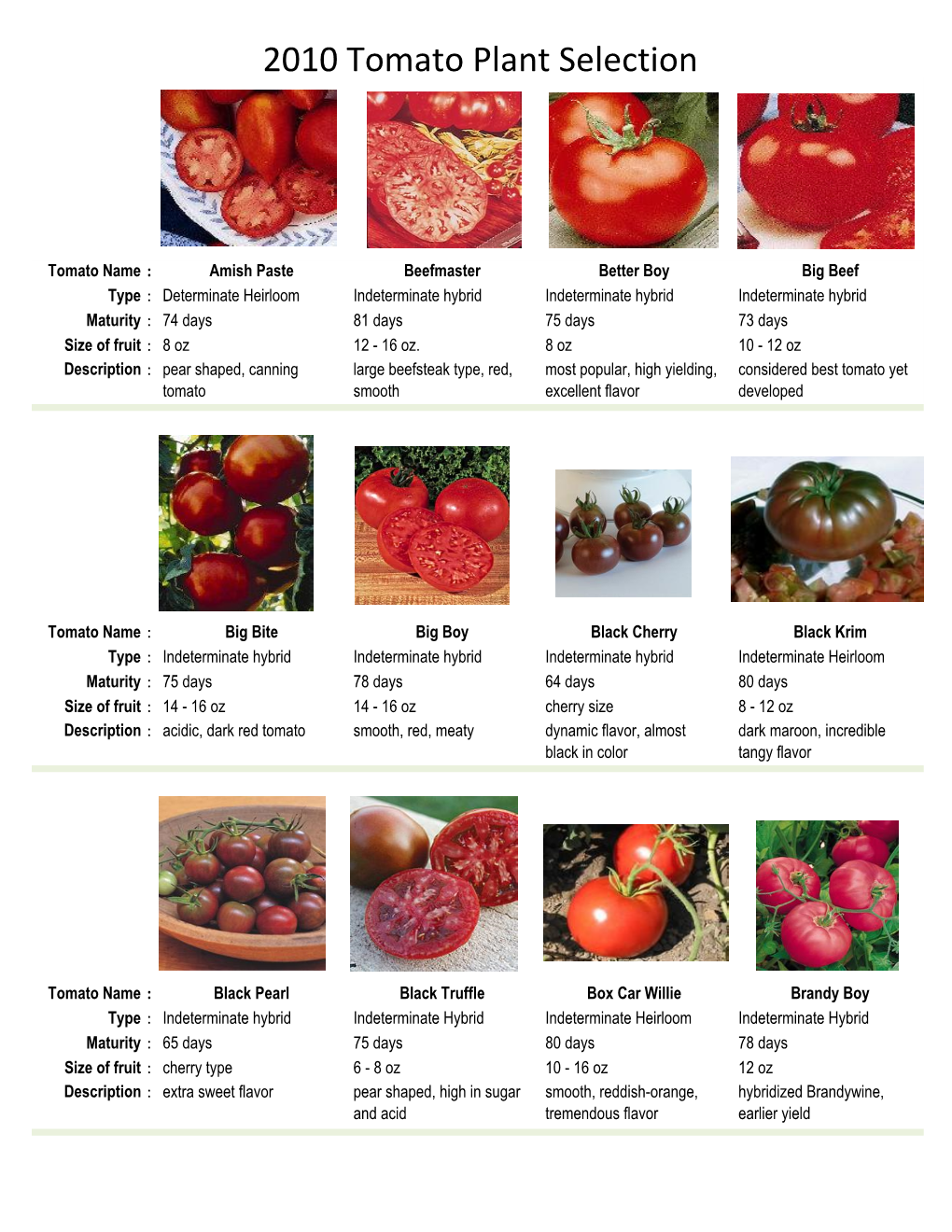 2010 Tomato Plant Selection