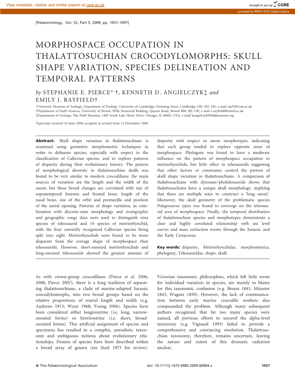 Skull Shape Variation, Species Delineation and Temporal Patterns