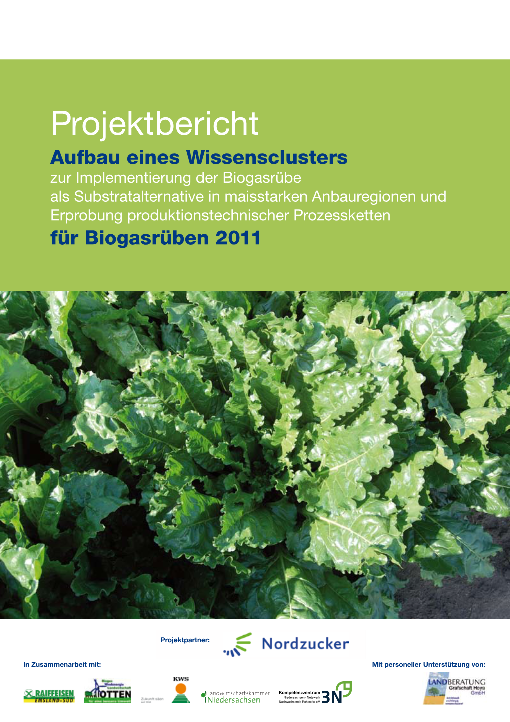 Projektbericht