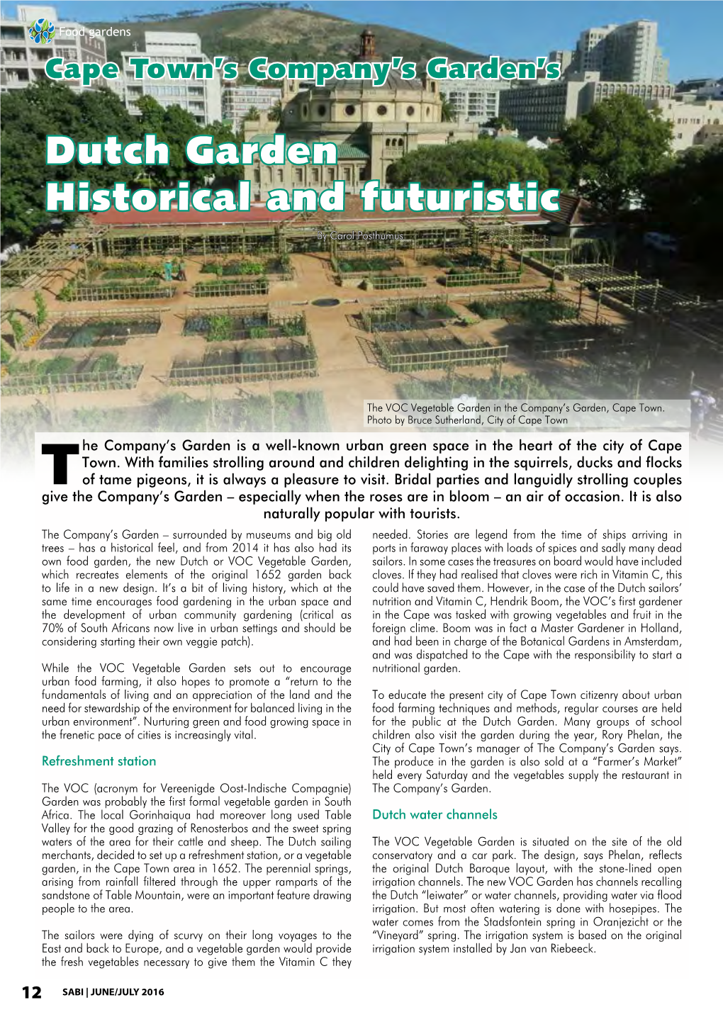 Dutch Garden Historical and Futuristic by Carol Posthumus
