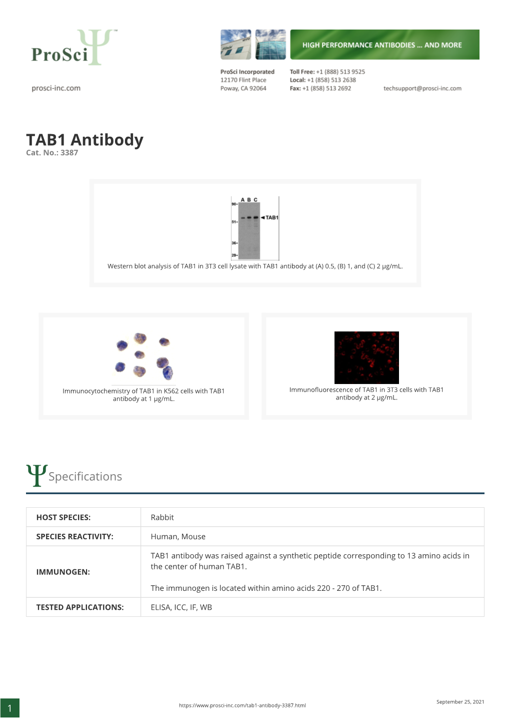 TAB1 Antibody Cat