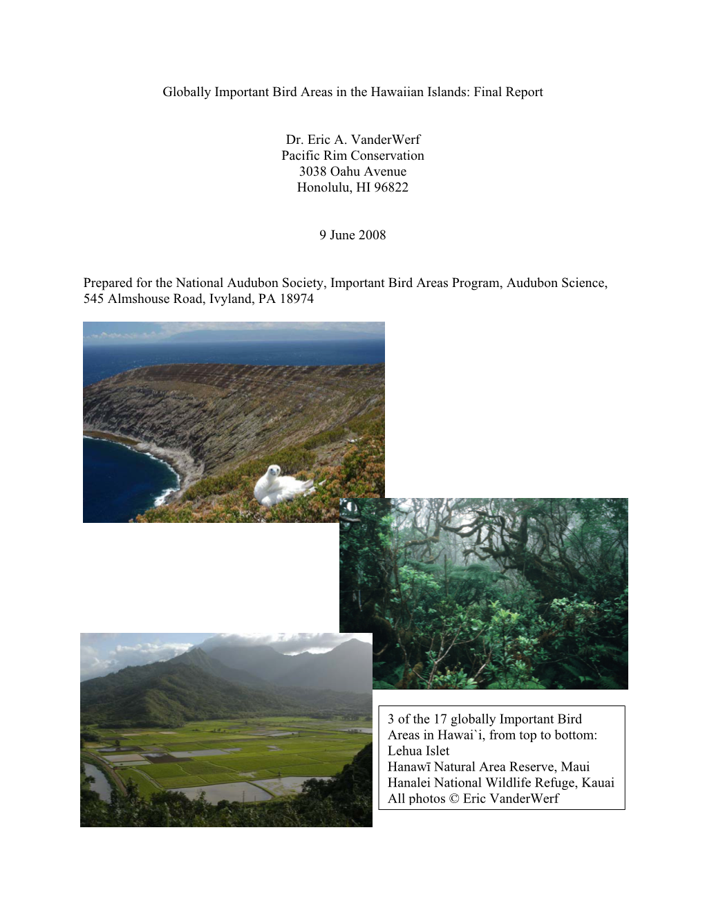 Important Bird Areas in Hawaii Elepaio Article