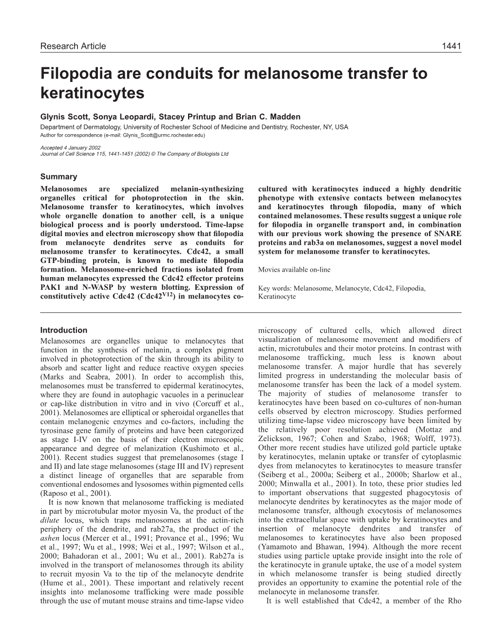 Role of Cdc42 in Melanosome Transfer 1443 Approximate Ratio of 1:1 in KGM