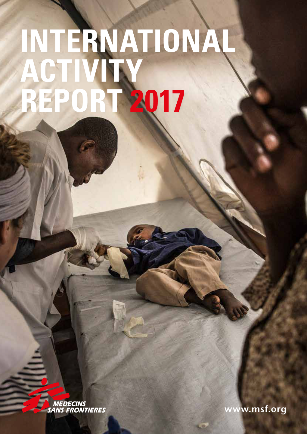 International Activity Report 2017