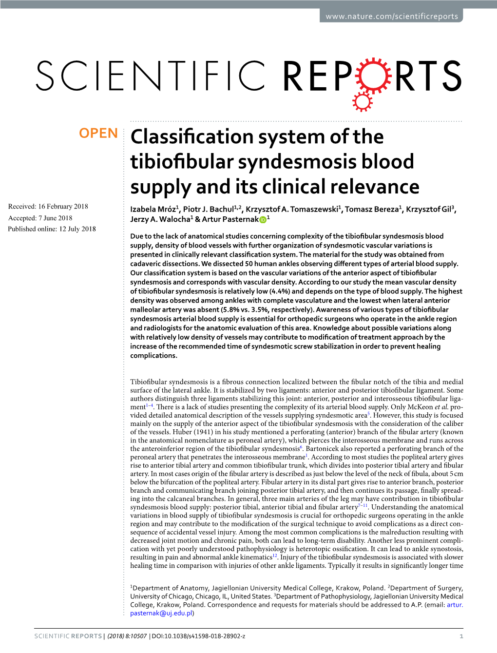 Classification System of the Tibiofibular Syndesmosis Blood Supply and Its