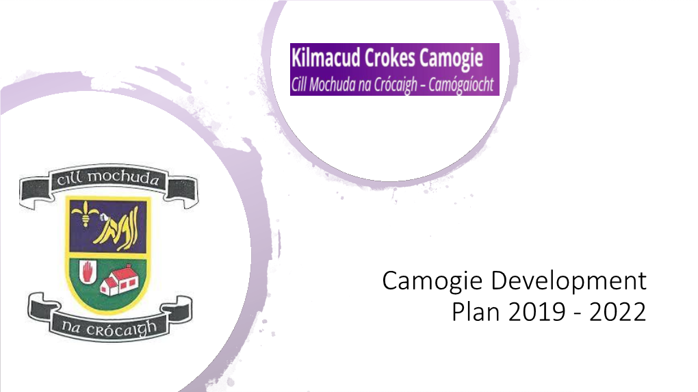 Camogie Development Plan 2019