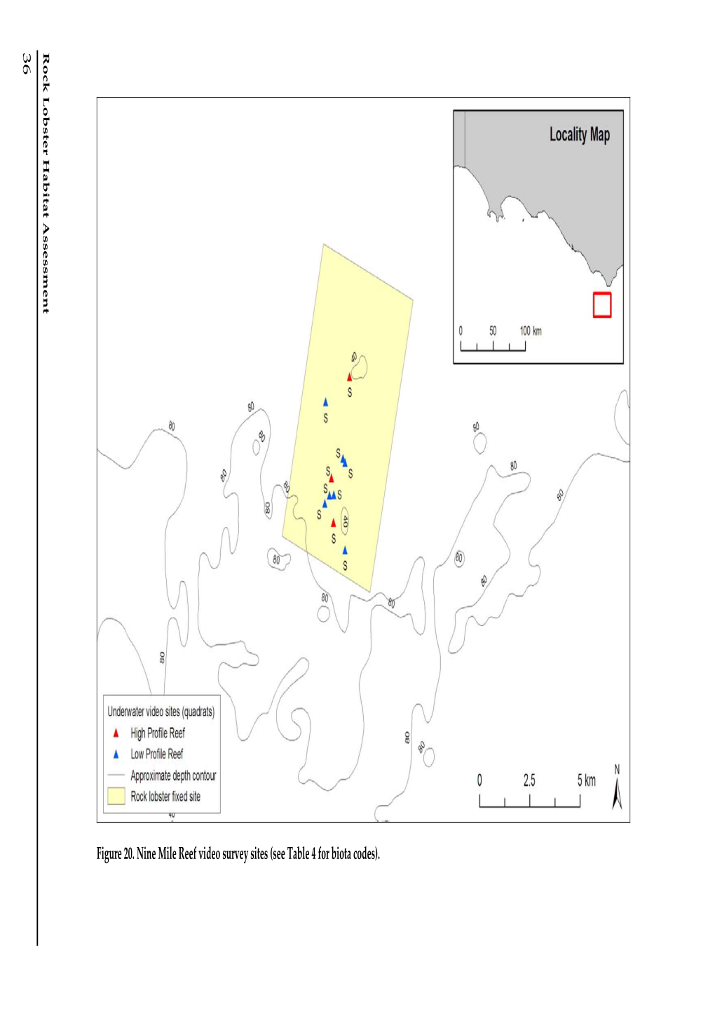 Rock Lobster Hab Itat Assessment Figure 20. Nine Mile Reef Video