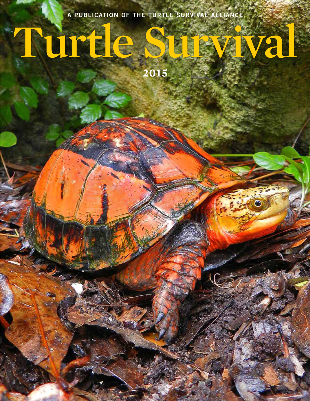 A Publication of the Turtle Survival Alliance 55 Visit Us Online At