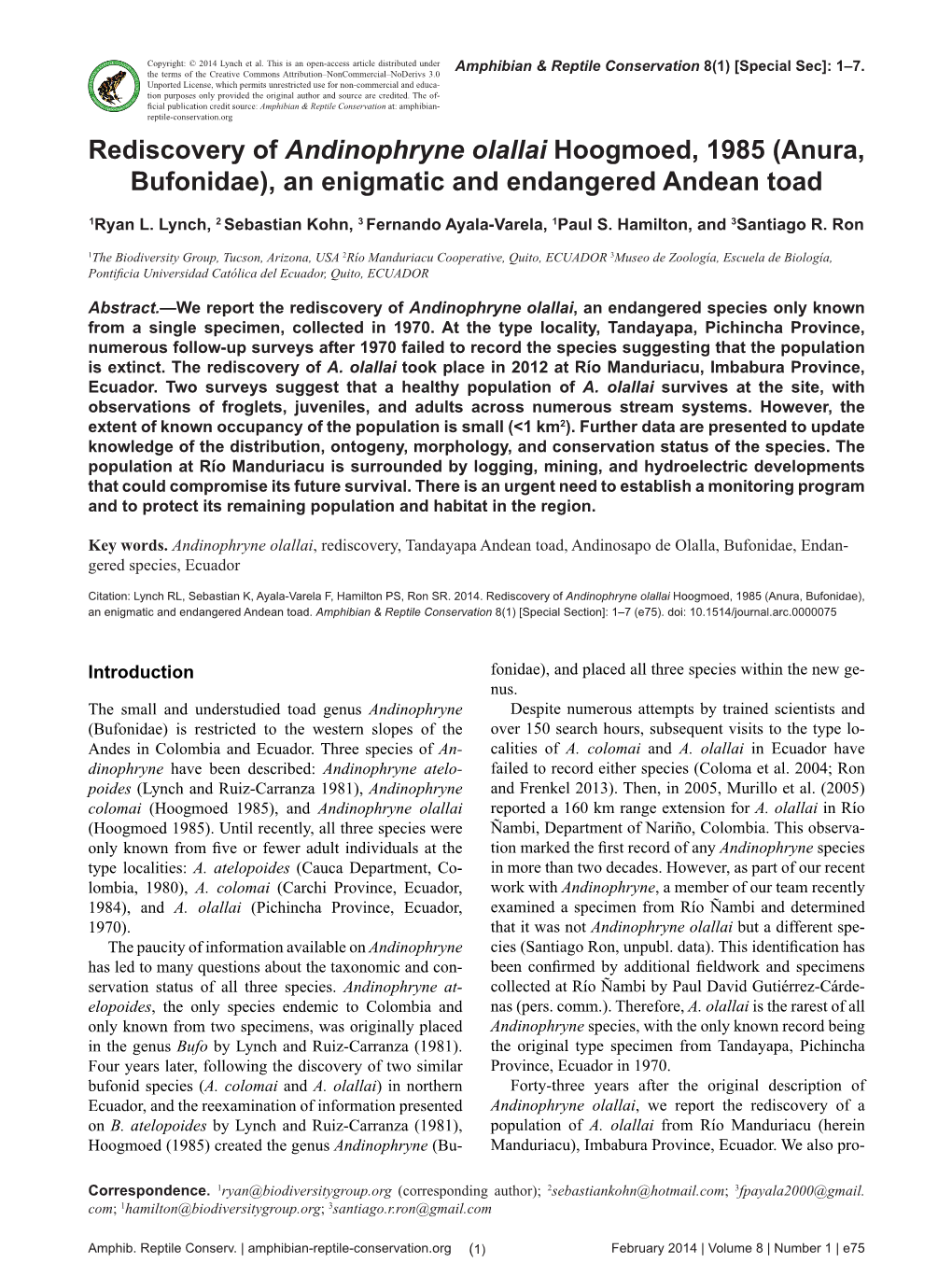 Rediscovery of Andinophryne Olallai Hoogmoed, 1985 (Anura, Bufonidae), an Enigmatic and Endangered Andean Toad