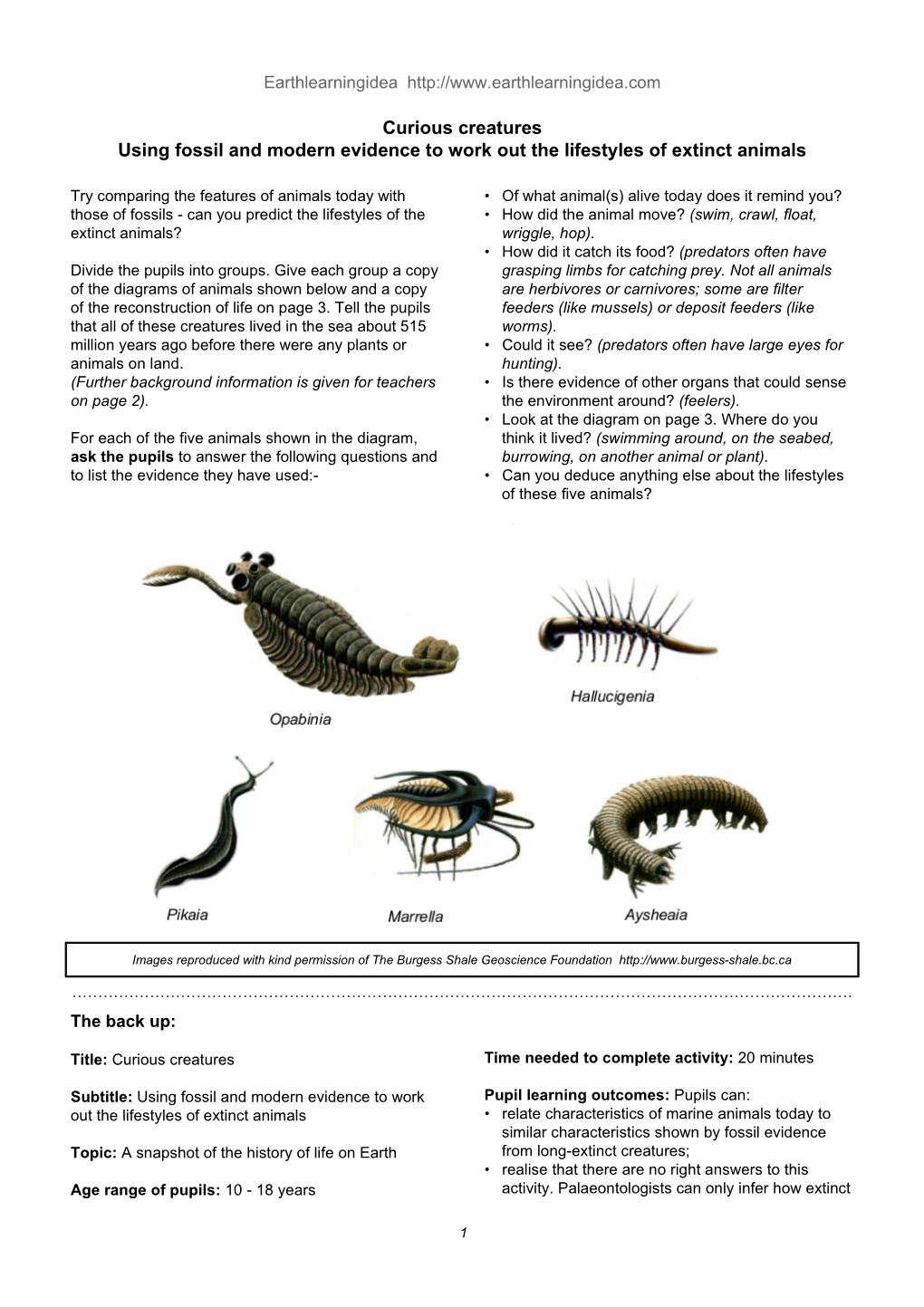 Curious Creatures Using Fossil and Modern Evidence to Work out the Lifestyles of Extinct Animals