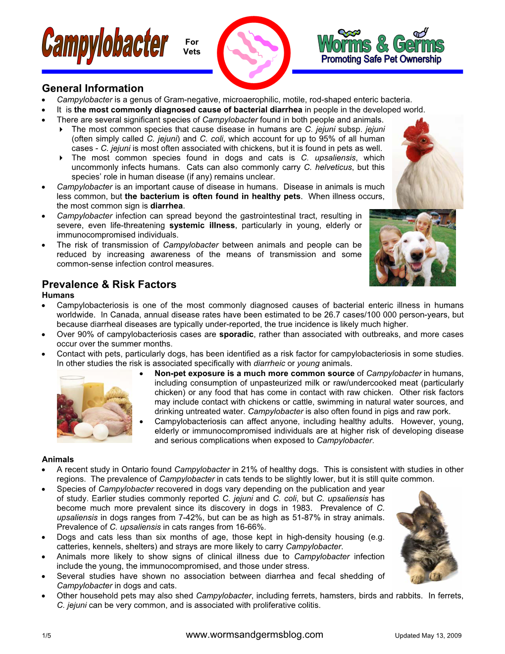 Campylobacter Is a Genus of Gram-Negative, Microaerophilic, Motile, Rod-Shaped Enteric Bacteria