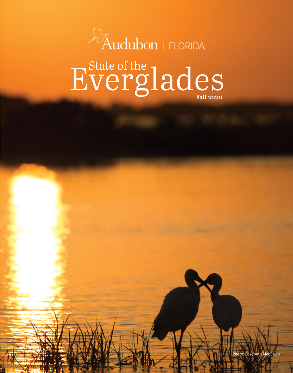 Everglades Fall 2020