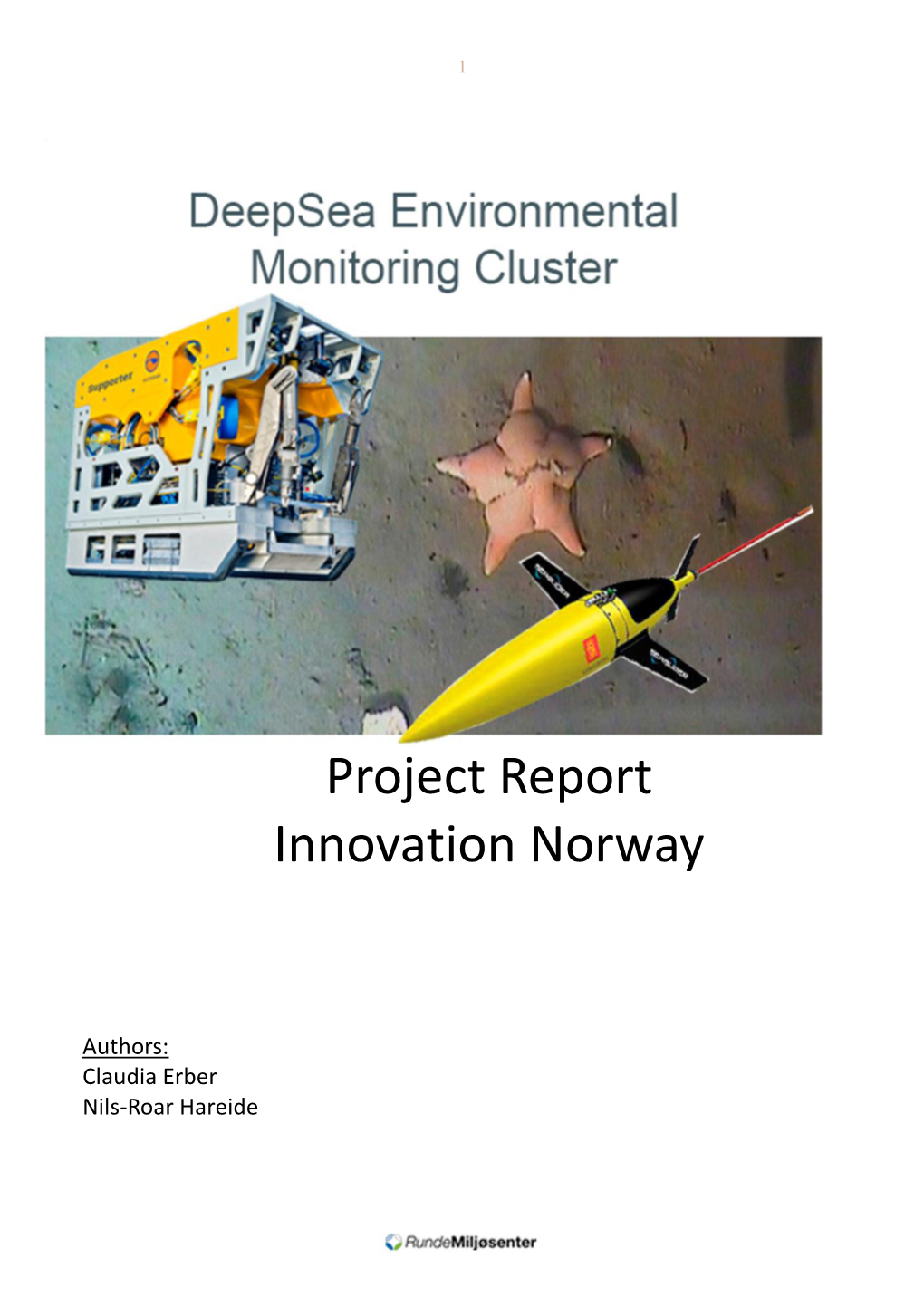 Project Report Innovation Norway