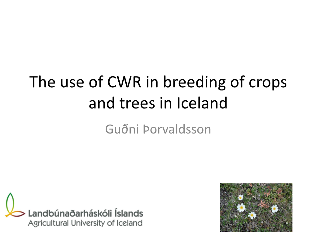 CWR in Breeding of Crops in Iceland