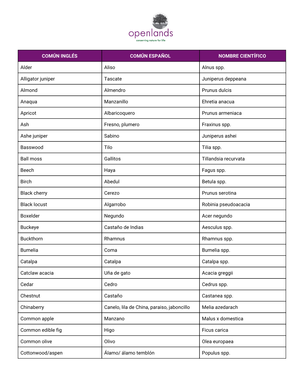 COMÚN INGLÉS COMÚN ESPAÑOL NOMBRE CIENTÍFICO Alder Aliso