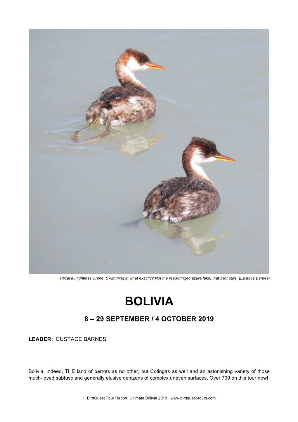 Ultimate Bolivia Tour Report 2019