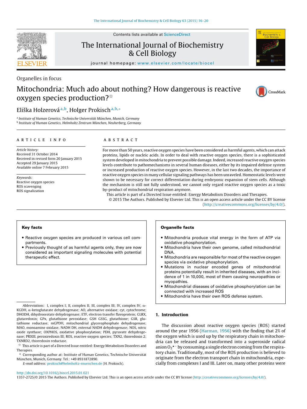 How Dangerous Is Reactive Oxygen Species Production?