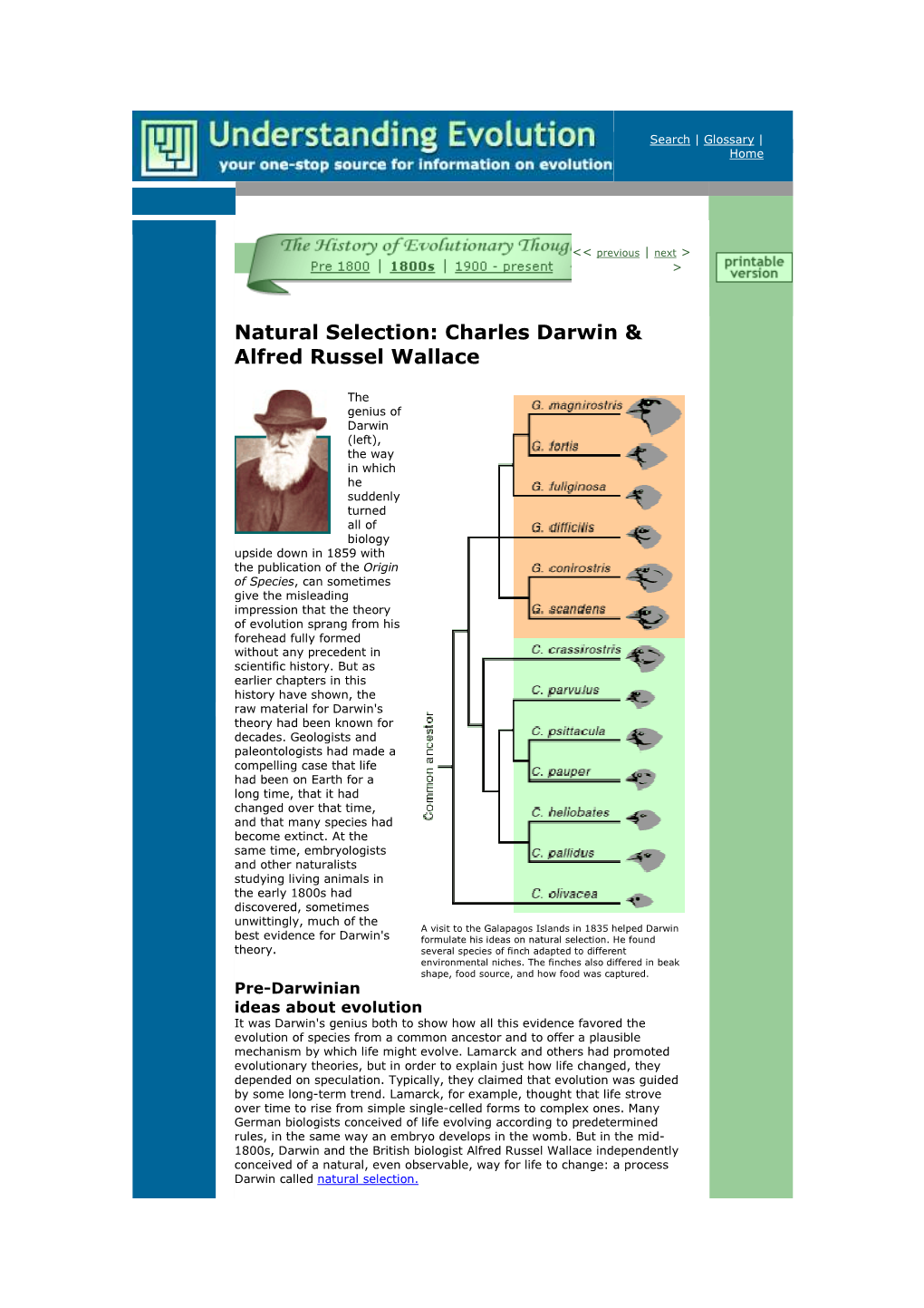 Natural Selection: Charles Darwin & Alfred Russel Wallace