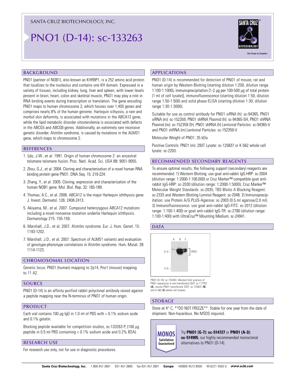 Datasheet Blank Template