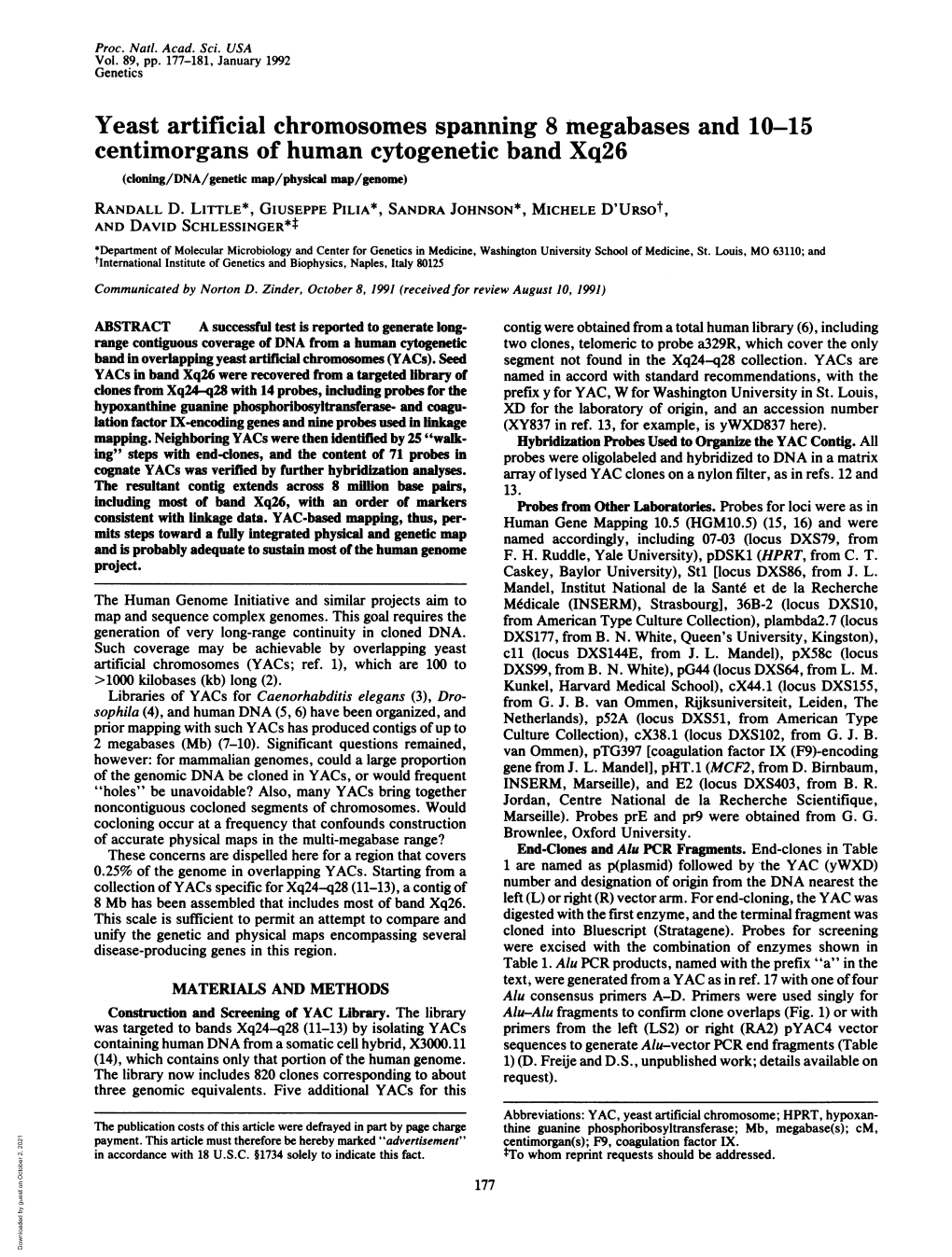 Yeast Artificial Chromosomes Spanning 8 Megabases and 10-15 Centimorgans of Human Cytogenetic Band Xq26 (Cloning/DNA/Genetic Map/Physical Map/Genome) RANDALL D