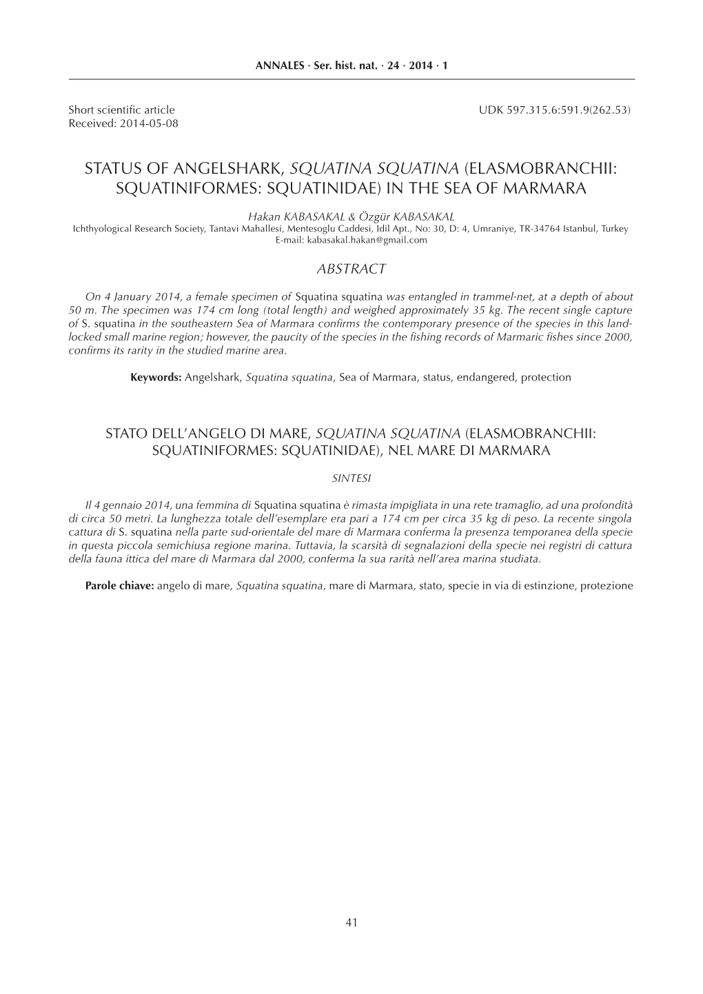 Status of Angelshark, Squatina Squatina (Elasmobranchii: Squatiniformes: Squatinidae) in the Sea of Marmara