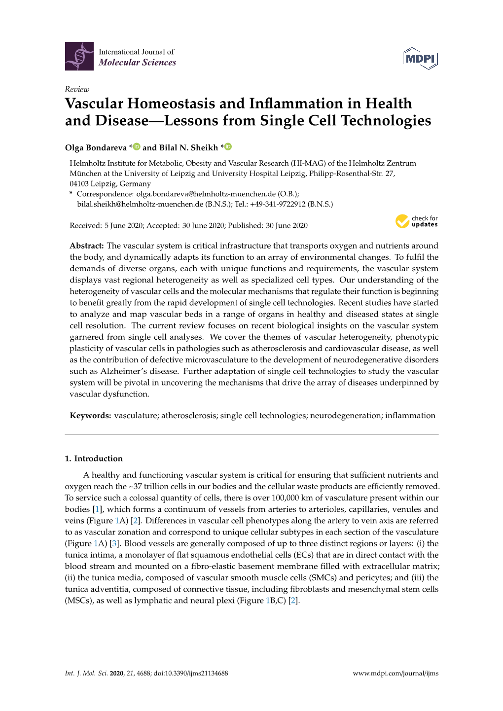 Vascular Homeostasis and Inflammation in Health and Disease