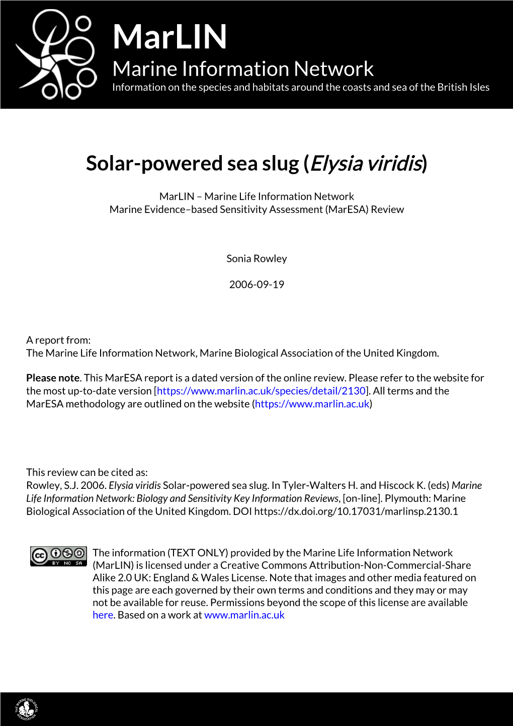 Solar-Powered Sea Slug (Elysia Viridis)