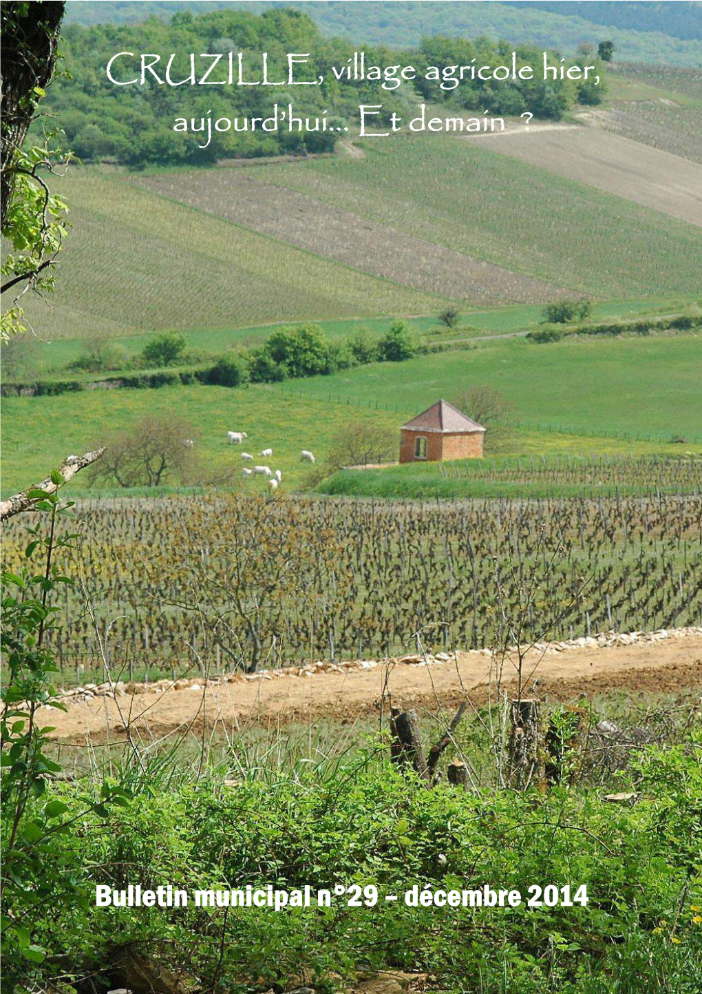 CRUZILLE, Village Agricole Hier, Aujourd'hui... Et Demain ?