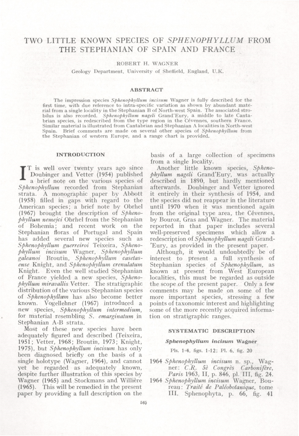 Two LITTLE KNOWN SPECIES of SPHENOPHYLLUM from the STEPHANIAN of SPAIN and FRANCE