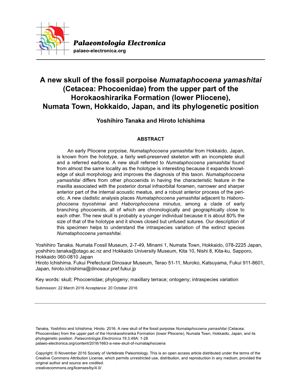 Cetacea: Phocoenidae) from the Upper Part of the Horokaoshirarika Formation (Lower Pliocene), Numata Town, Hokkaido, Japan, and Its Phylogenetic Position