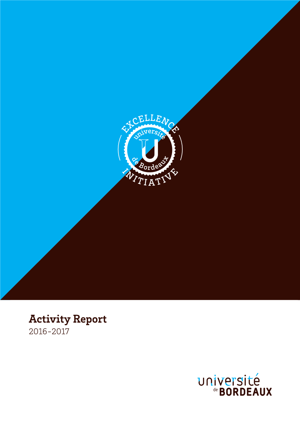 Activity Report 2016-2017