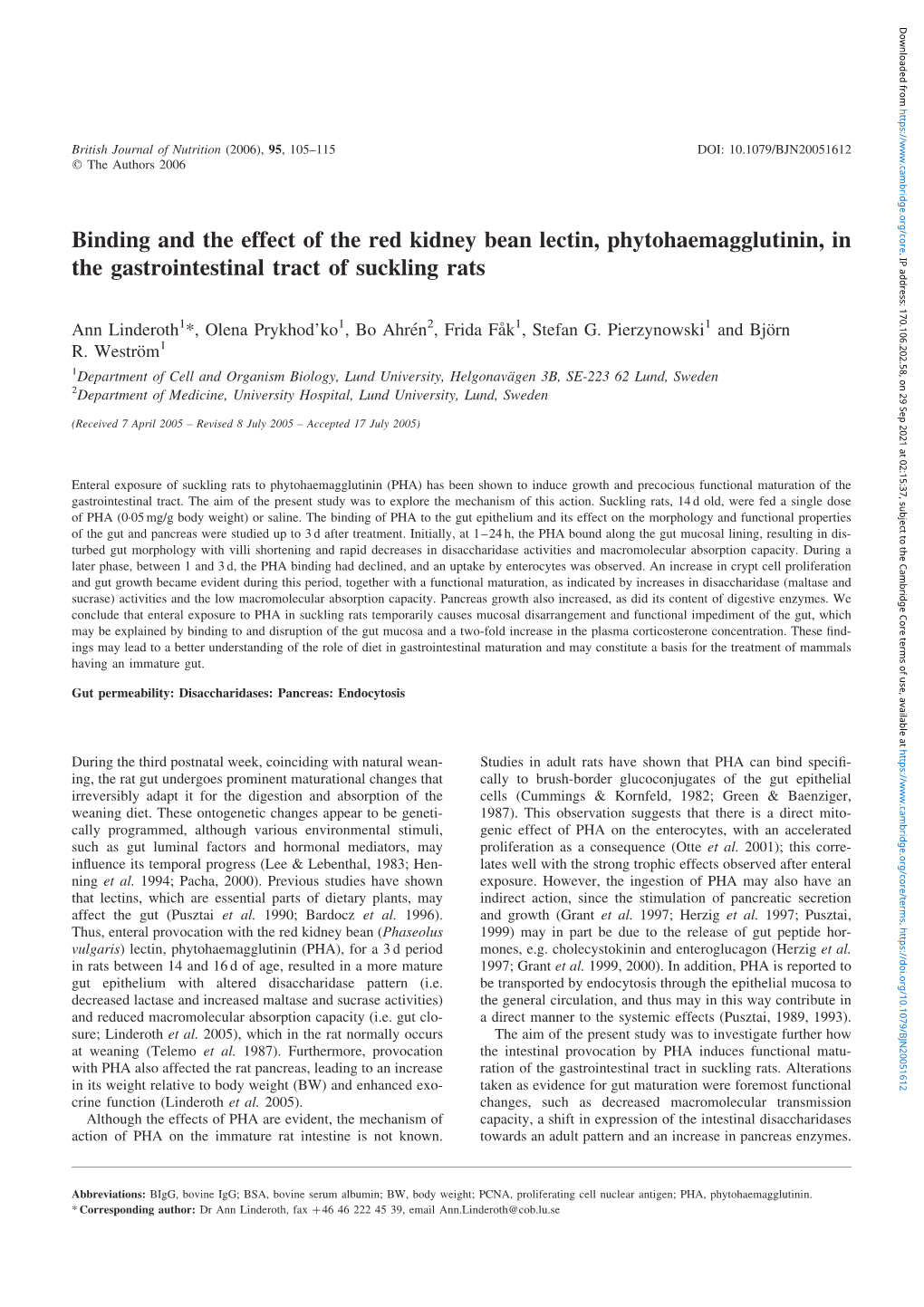 Binding and the Effect of the Red Kidney Bean Lectin, Phytohaemagglutinin, In