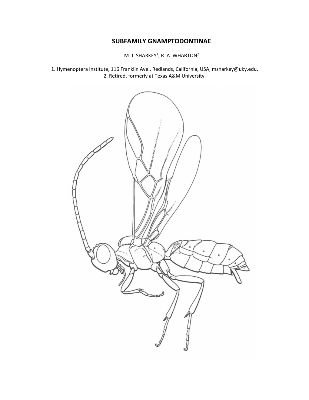 Subfamily Gnamptodontinae