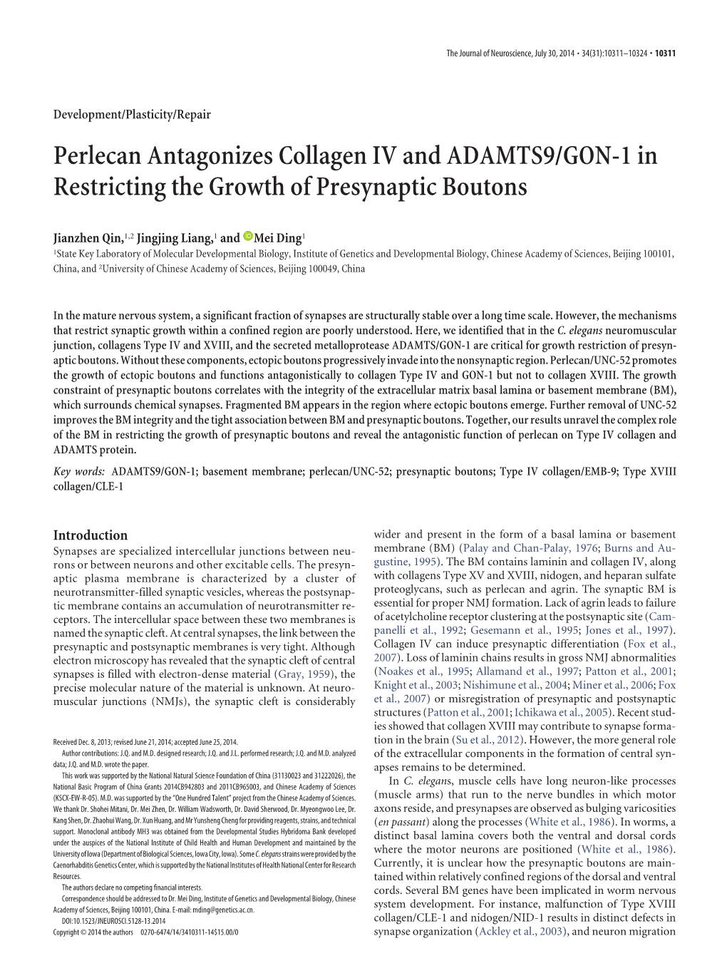 Perlecan Antagonizes Collagen IV and ADAMTS9/GON-1 in Restricting the Growth of Presynaptic Boutons