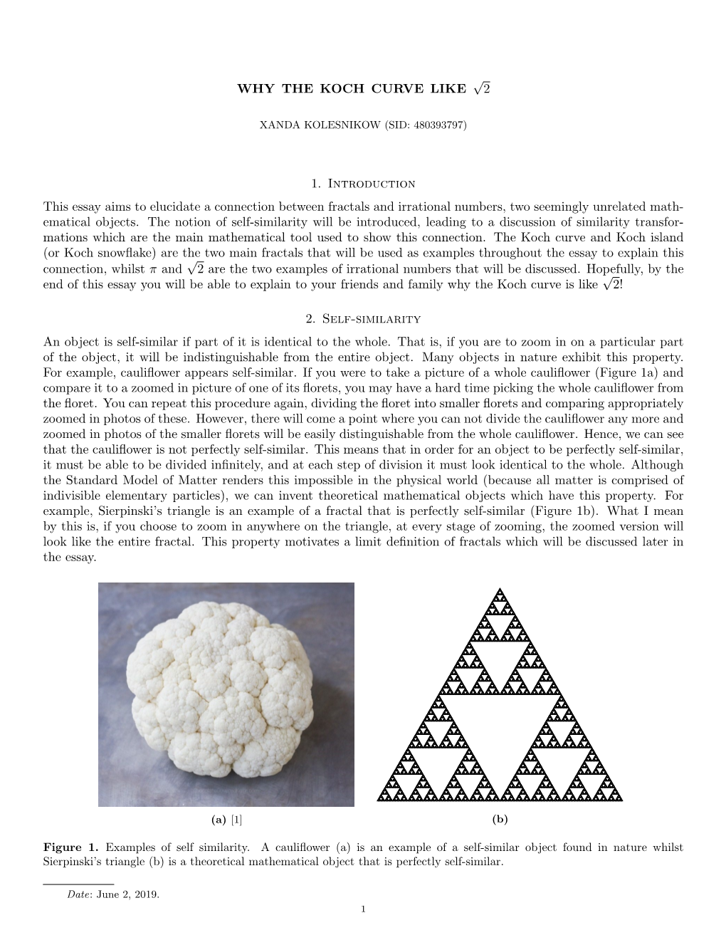 WHY the KOCH CURVE LIKE √ 2 1. Introduction This Essay Aims To