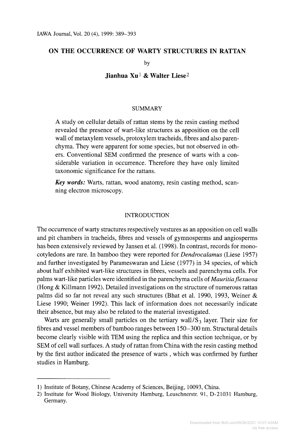 ON TUE OCCURRENCE of WARTY STRUCTURES in RATTAN Jianhua Xu 1 & Walter Liese2