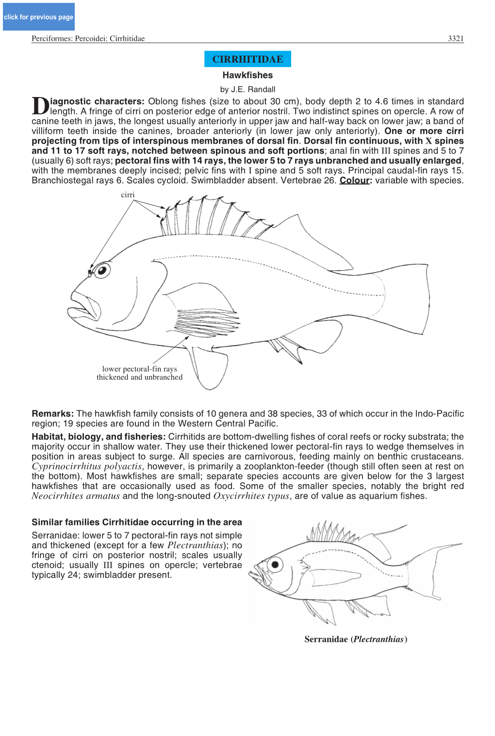 Cirrhitidae 3321