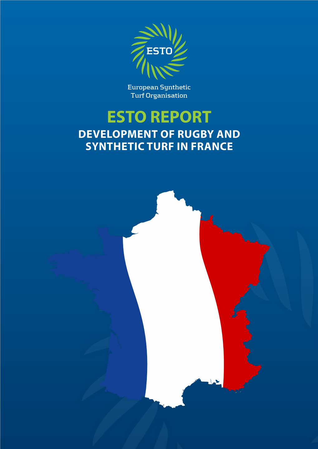 Esto Report Development of Rugby and Synthetic Turf in France Introduction