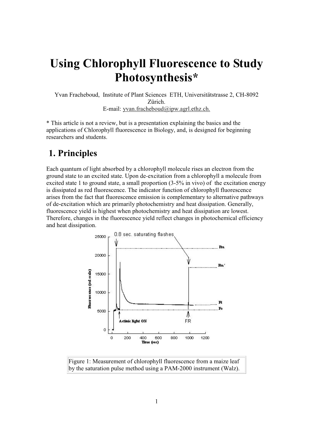 Using Chlorophyll Fluorescence to Study Photosynthesis*